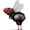 undefined undefined