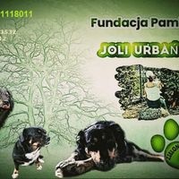 undefined undefined